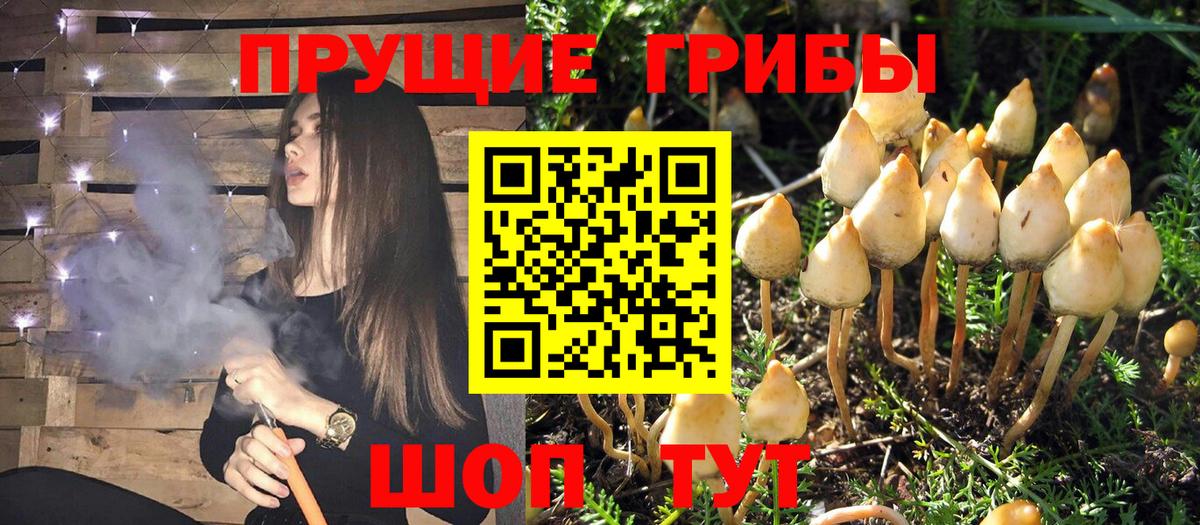 Галлюциногенные грибы MAGIC MUSHROOMS  Вход с VPN  Псилоцибиновые грибы ЛСД  Геленджик 