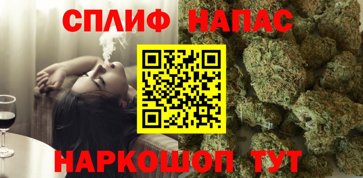 Каннабис конопля Геленджик